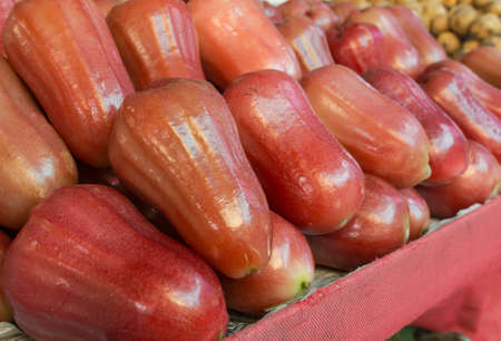   asian rose apple sell in the market