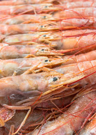 Close up of raw frozen Argentina red shrimpsの写真素材
