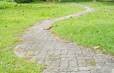 concrete walk way surrounded by small grassesの写真素材