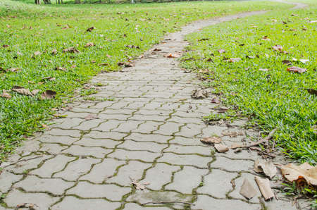 concrete walk way surrounded by small grassesの写真素材