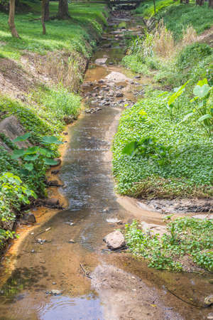 rock in concrete canal in the forest