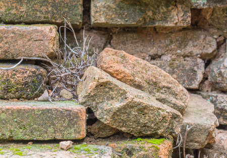 old brick wall background texture image