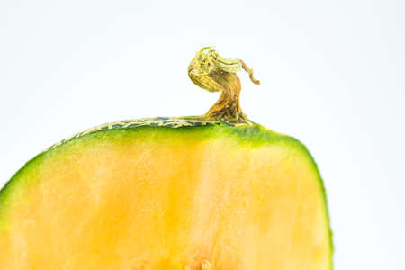 photo of fresh cantaloupe on white backgroundの写真素材