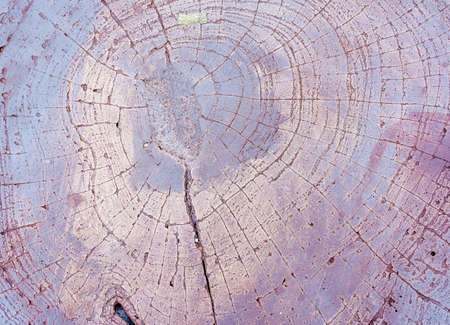 violet concrete texture with wood shuttering carved on it background.