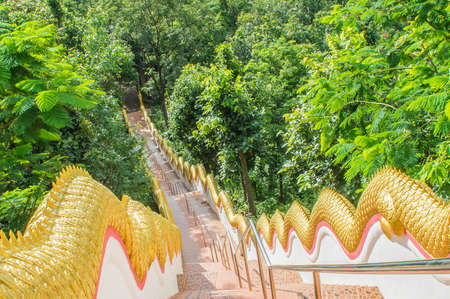 image of long stairs way to forest destination.の写真素材
