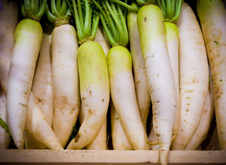 white radish harvested products on wooden planks .の写真素材