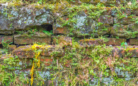 image of old mossy wall in the temple .の写真素材