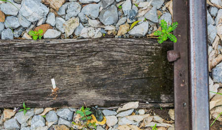 Close up of train track, spike, and wooden railroad tie .の写真素材