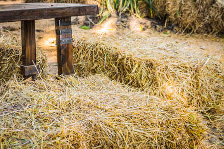 hay on ground  background with wooden table .の写真素材