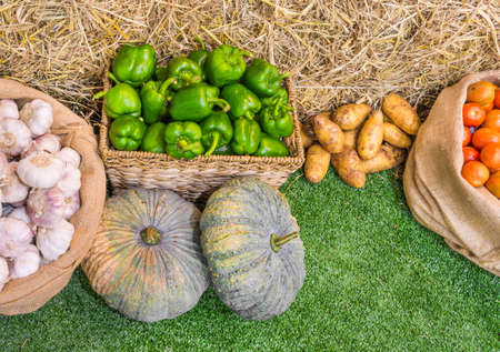 close up shot of garlic and chili and variety of vegetable in basket image.の写真素材