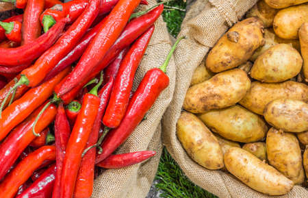 Harvest potatoes in burlap sack on rustic background .の写真素材