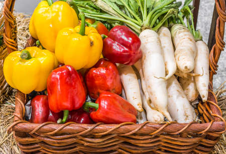 agriculture harvested bell pepper and radish in basket .の写真素材