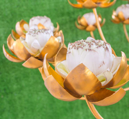 image of golden lotus made from bronzeの写真素材