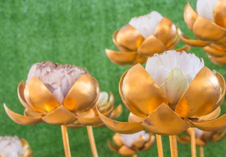 image of golden lotus made from bronzeの写真素材