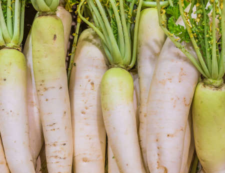 image of fresh white radishes in market .の写真素材