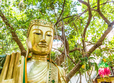 ancient buddha sculpture under the big green tree.の写真素材