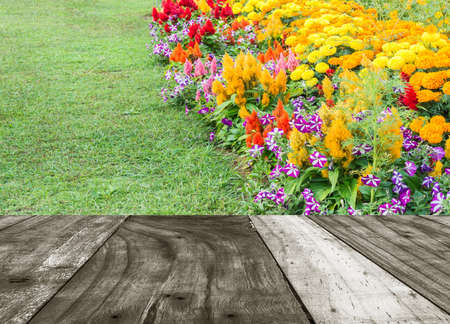 image of Various color flower background wall.の写真素材