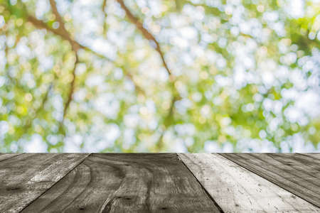 blur image of Abstract Bokeh of tree green color background.の写真素材