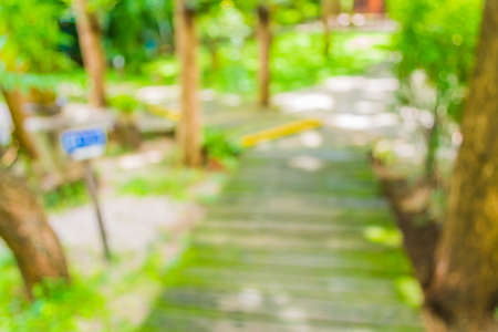 blur image of Long empty corridor with open space to the green garden with bokeh for background usage .の写真素材