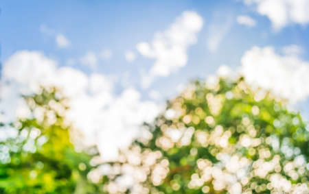 blur image of Abstract Bokeh of tree green color background .の写真素材