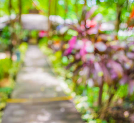blur image of Long empty corridor with open space to the green garden with bokeh for background usage .の写真素材
