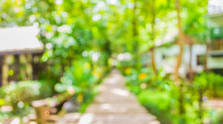 blur image of Long empty corridor with open space to the green garden with bokeh for background usage .の写真素材