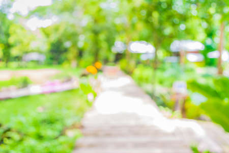 blur image of Long empty corridor with open space to the green garden with bokeh for background usage .の写真素材