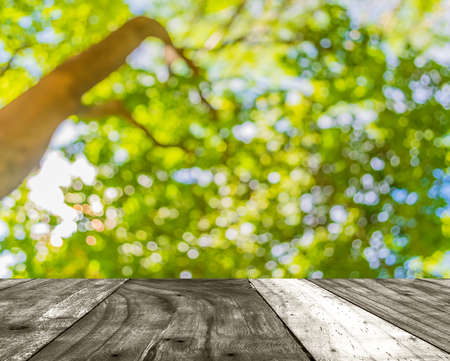 blur image of Abstract Bokeh of tree green color background .