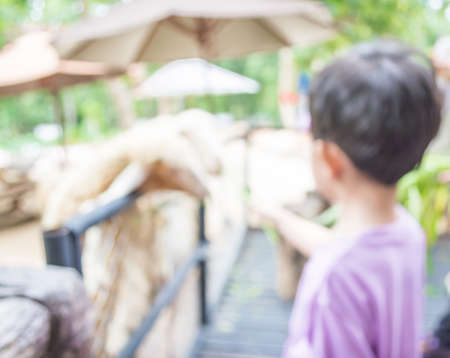 image of blur people feeding animals  with bokeh .の写真素材