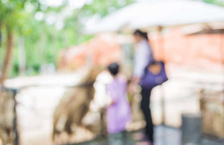 image of blur people feeding animals  with bokeh .の写真素材