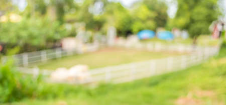 image of blur herd of sheep on green field for backgrond usage .の写真素材