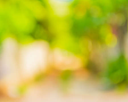 blur image of Long empty corridor with open space to the green garden with bokeh for background...