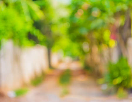 blur image of Long empty corridor with open space to the green garden with bokeh for background usage.の写真素材