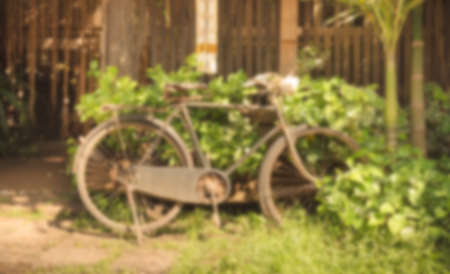 blur image of bicycle park in the garden on day time for background usage.の写真素材