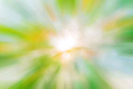 blur image of Abstract Bokeh of green tree color for summer background.の写真素材
