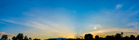silhouette shot image of tree and sunset sky in background.の写真素材
