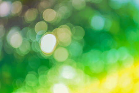 blur image of Abstract Bokeh of tree green color background .の写真素材