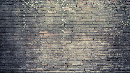 vintage tone image of old mossy wall in day time for background usage.の写真素材