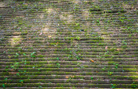 image of old mossy wall in day time for background usage.
