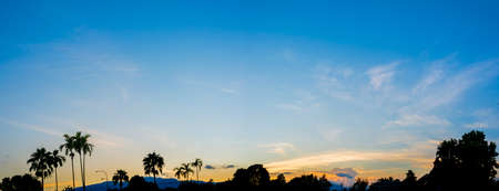 silhouette shot image of tree and sunset sky in background.