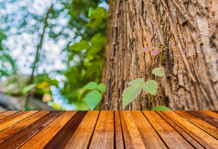 wood floor and vintage tone image of plant climbing up a tree trunk