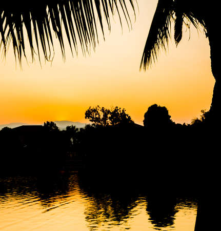 silhouette shot image of coconut tree and sunset sky in background.の写真素材