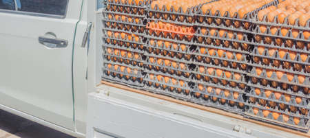 image of egg pallets in the truck on day time.の写真素材