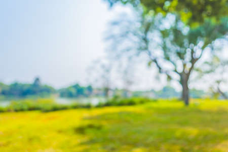 blur image of river and grass field for background usage.の写真素材