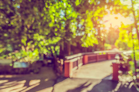 Abstract blur image of empty walkway to the green garden for background usage . (vintage tone)の写真素材