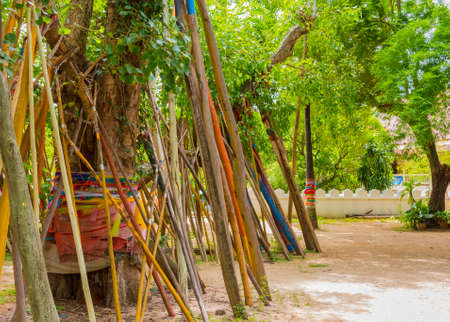 Crutches under Bodhi trees at phra tad lampang luang at Lampang province ,Thailand.