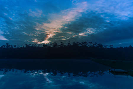 lake and pine forest on morning time.