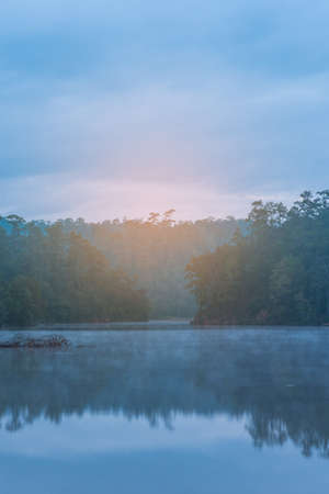 image of lake and pine forest on morning time at " Ban Wat Chan Pine Forest ", Amphoe Kallayaniwattana, Chiang Mai Thailand.の写真素材