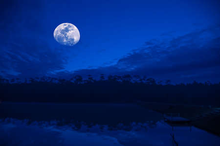 moon and blur silhouette tree with cloudy sky image.
