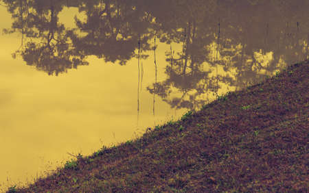 vintage tone image of shadow of pine tree on shore near the lake.の写真素材